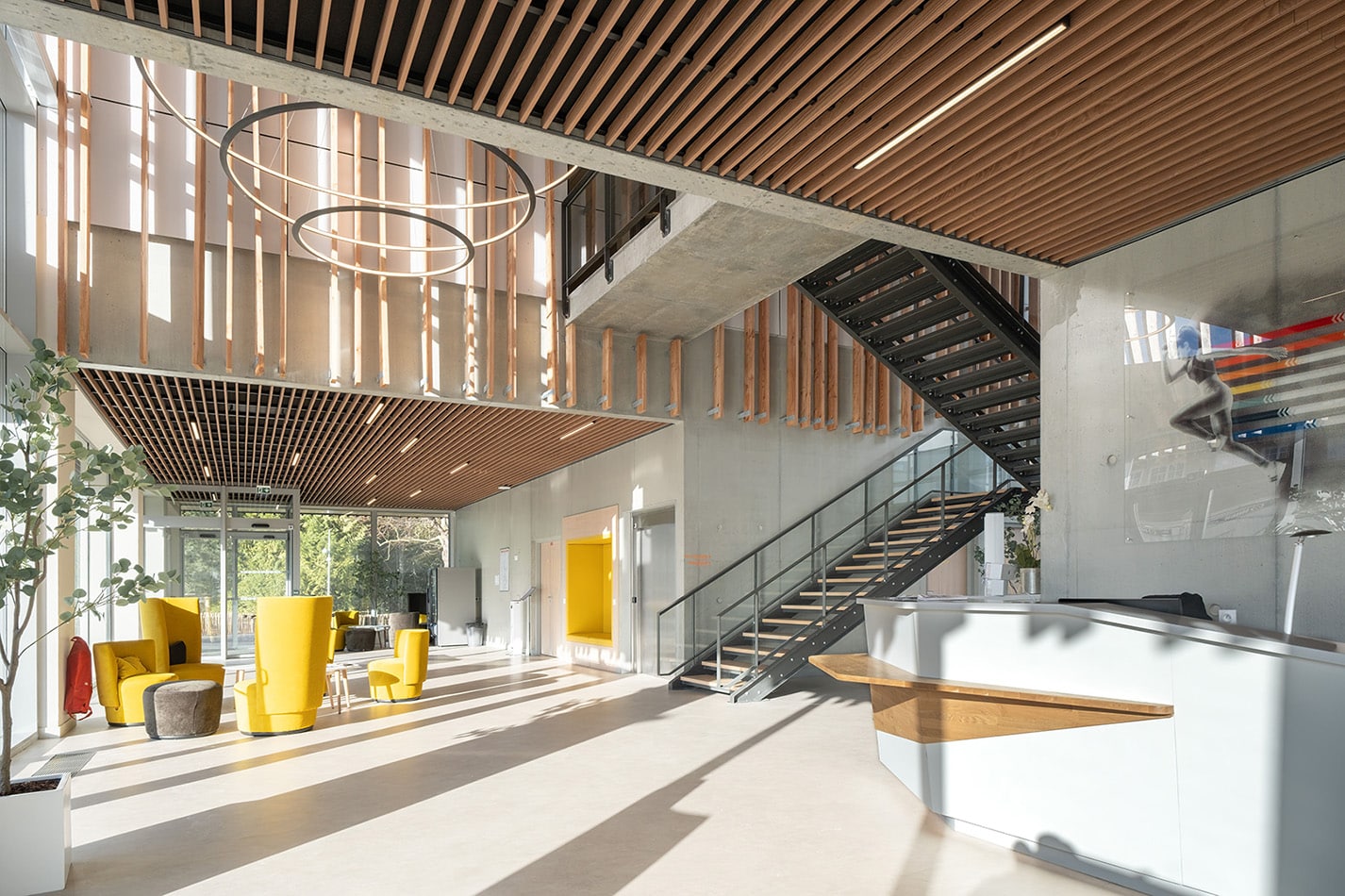 Hall d'accueil du CSN — bois, béton et lumière